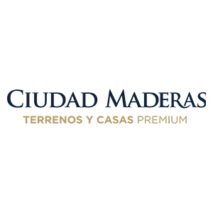 ciudad maderas