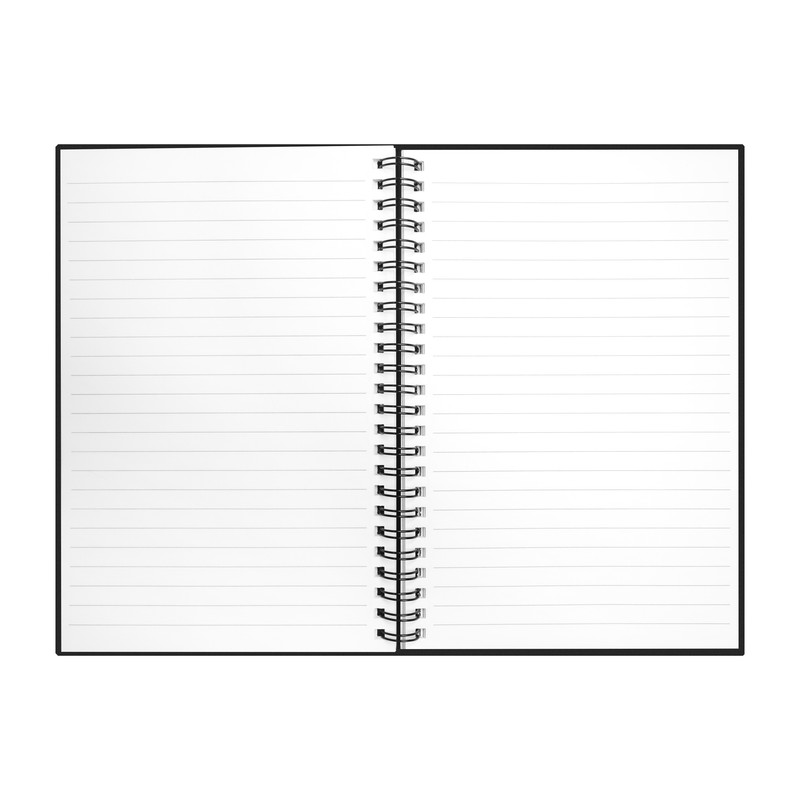 HL-010-N_2